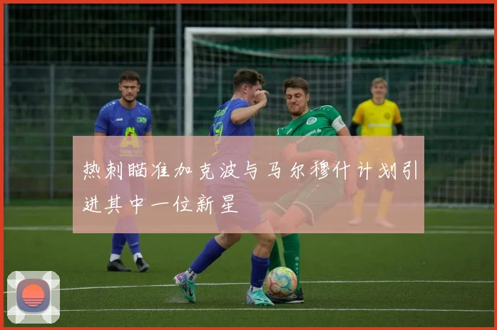 热刺瞄准加克波与马尔穆什计划引进其中一位新星