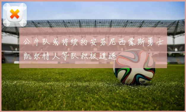 公牛队或将续约安芬尼西蒙斯勇士凯尔特人等队积极追逐
